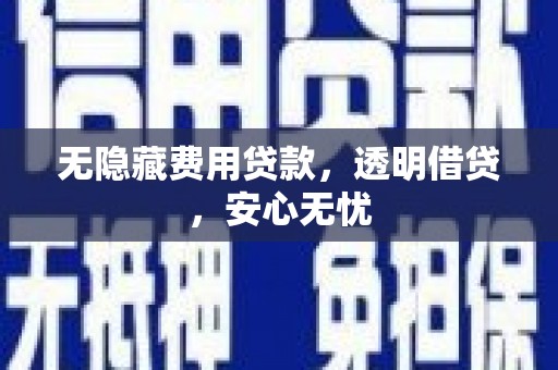 市南无隐藏费用贷款，透明借贷，安心无忧