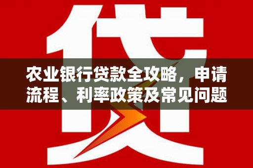 市南农业银行贷款全攻略，申请流程、利率政策及常见问题解析