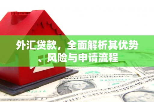 市南外汇贷款，全面解析其优势、风险与申请流程