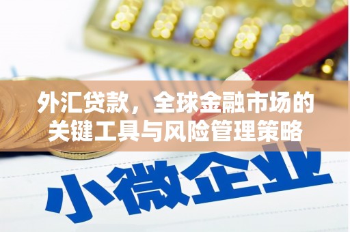 市南外汇贷款，全球金融市场的关键工具与风险管理策略