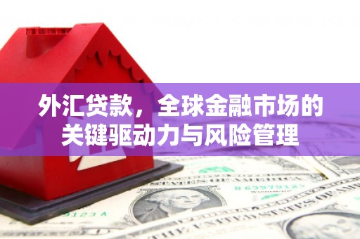 市南外汇贷款，全球金融市场的关键驱动力与风险管理