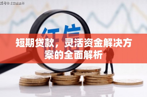 市南短期贷款，灵活资金解决方案的全面解析