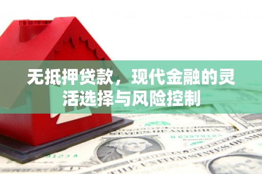 市南无抵押贷款，现代金融的灵活选择与风险控制