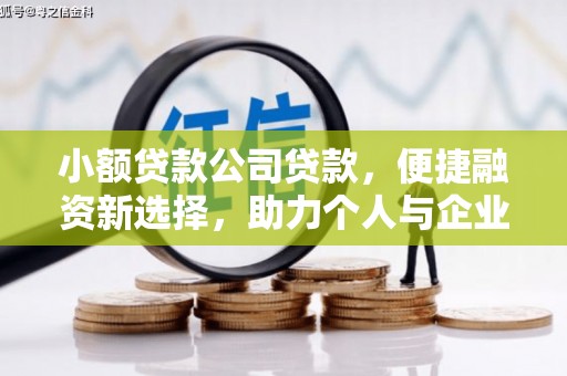 市南小额贷款公司贷款，便捷融资新选择，助力个人与企业成长