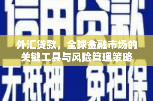市南外汇贷款，全球金融市场的关键工具与风险管理策略