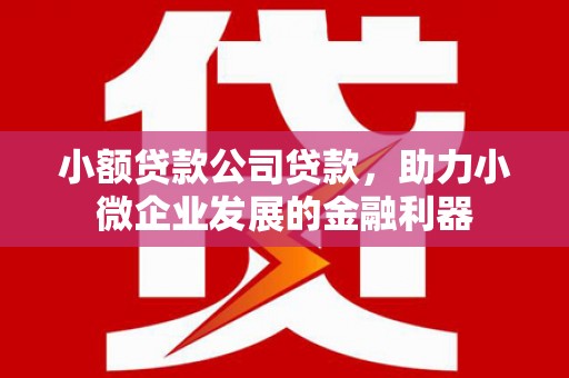 市南小额贷款公司贷款，助力小微企业发展的金融利器