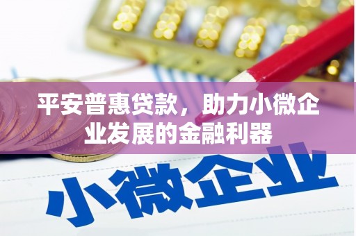 市南平安普惠贷款，助力小微企业发展的金融利器