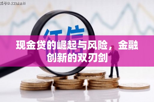 市南现金贷的崛起与风险，金融创新的双刃剑