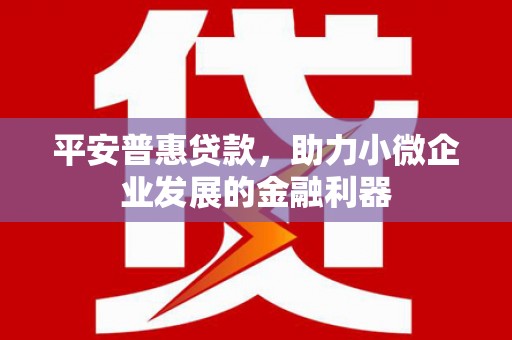 市南平安普惠贷款，助力小微企业发展的金融利器