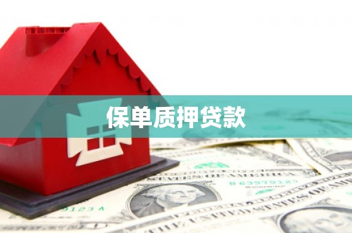 市南保单质押贷款