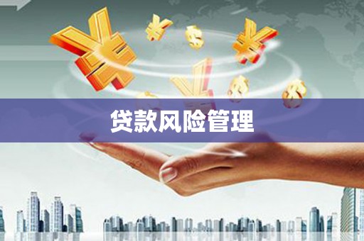 市南贷款风险管理