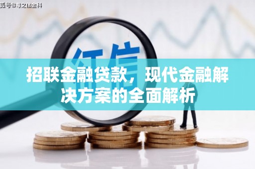 市南招联金融贷款，现代金融解决方案的全面解析