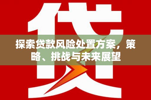 市南探索贷款风险处置方案，策略、挑战与未来展望