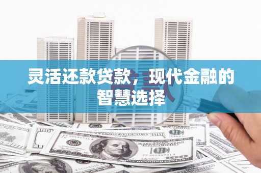 市南灵活还款贷款，现代金融的智慧选择