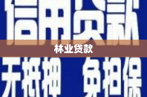 市南林业贷款