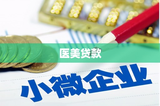 市南医美贷款