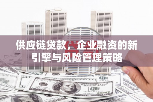市南供应链贷款，企业融资的新引擎与风险管理策略