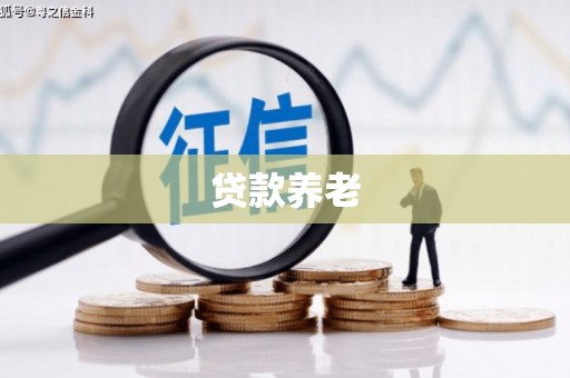 市南贷款养老