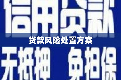 市南贷款风险处置方案