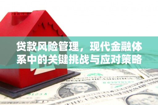 市南贷款风险管理，现代金融体系中的关键挑战与应对策略