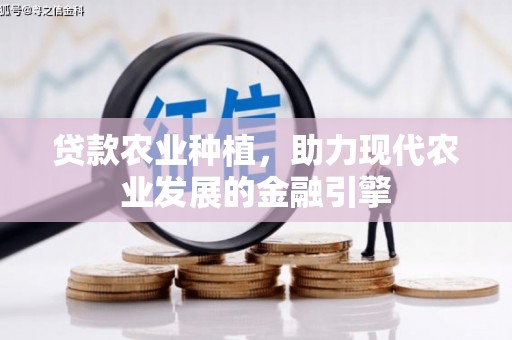 市南贷款农业种植，助力现代农业发展的金融引擎