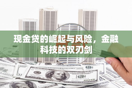 市南现金贷的崛起与风险，金融科技的双刃剑