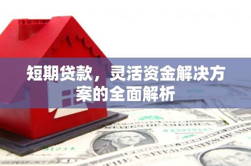 市南短期贷款，灵活资金解决方案的全面解析