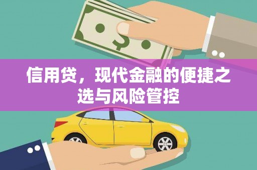 市南信用贷，现代金融的便捷之选与风险管控