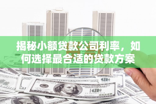 市南揭秘小额贷款公司利率，如何选择最合适的贷款方案