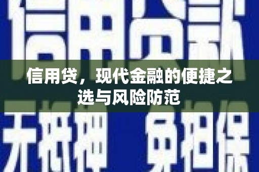 市南信用贷，现代金融的便捷之选与风险防范