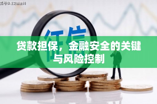 市南贷款担保，金融安全的关键与风险控制