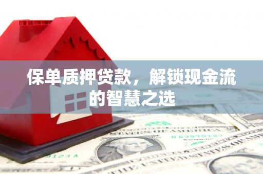 市南保单质押贷款，解锁现金流的智慧之选