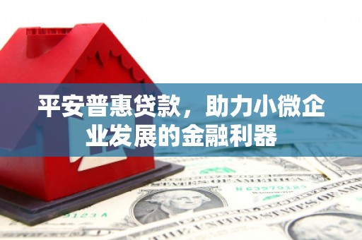 市南平安普惠贷款，助力小微企业发展的金融利器