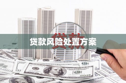 市南贷款风险处置方案