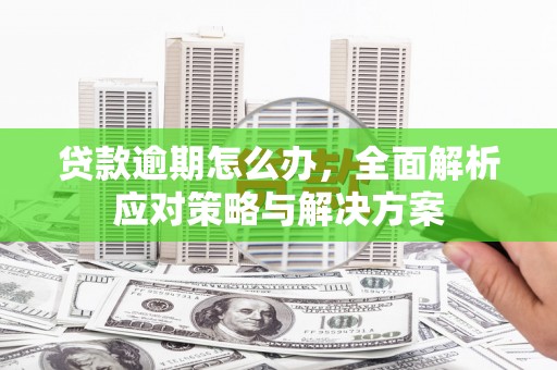 市南贷款逾期怎么办，全面解析应对策略与解决方案